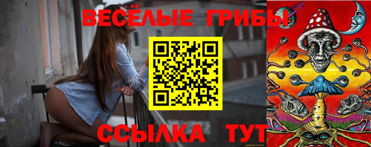 закладка  Галлюциногенные грибы ЛСД  Вход с VPN  Алексеевка 